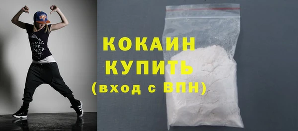 ПСИЛОЦИБИНОВЫЕ ГРИБЫ Михайлов