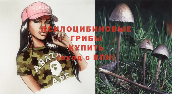 каннабис Абаза