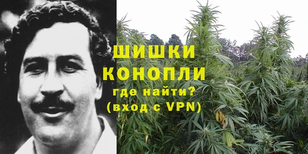 ПСИЛОЦИБИНОВЫЕ ГРИБЫ Михайлов