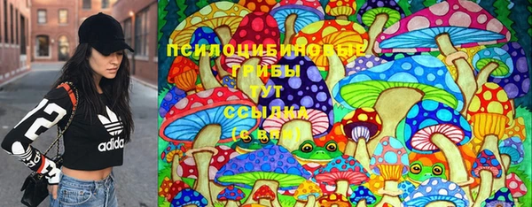 соль ск Михайловск