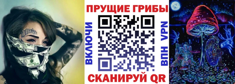 закладка  Сызрань  Галлюциногенные грибы мухоморы 
